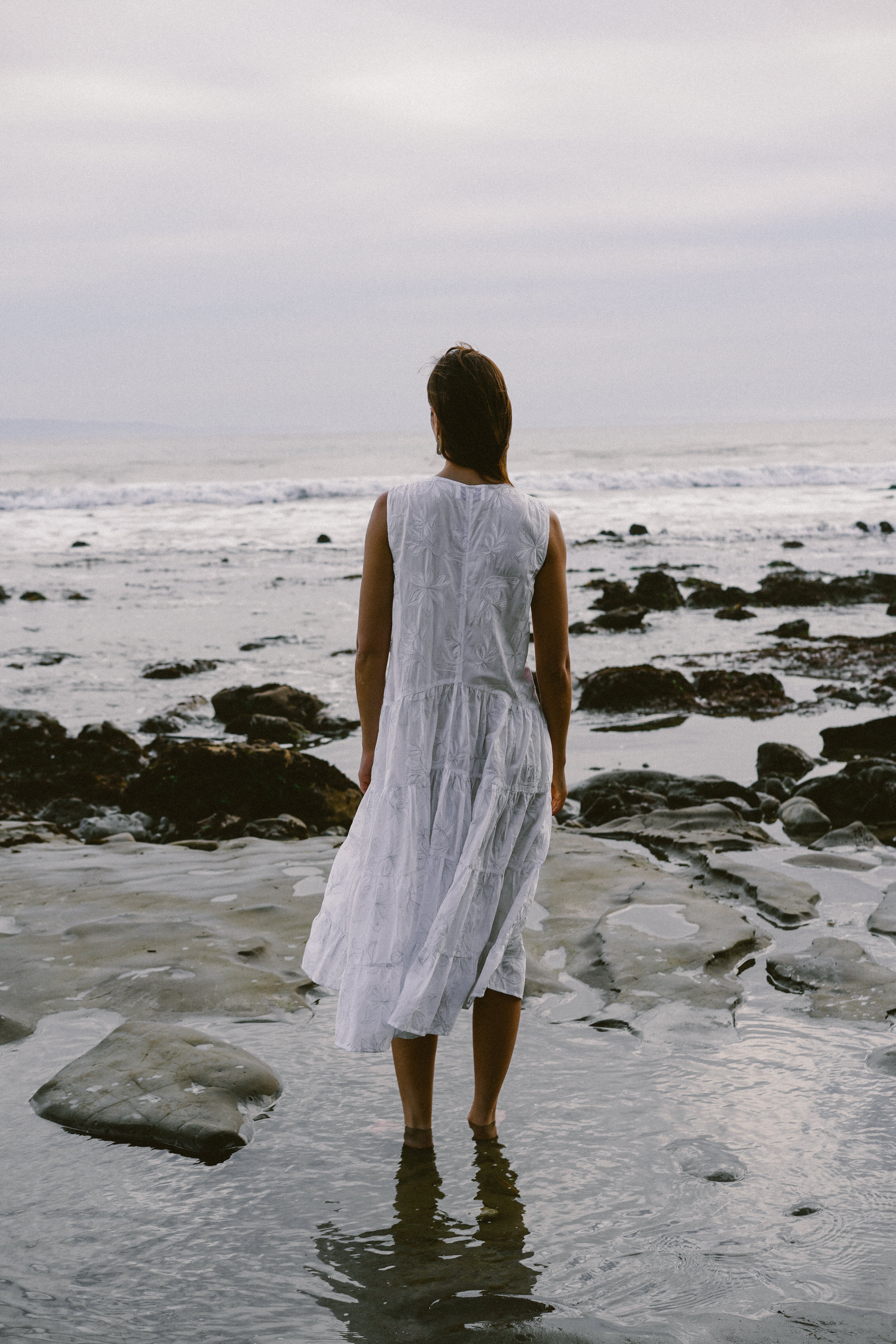 Wallis Embroidered Dress in White Silver