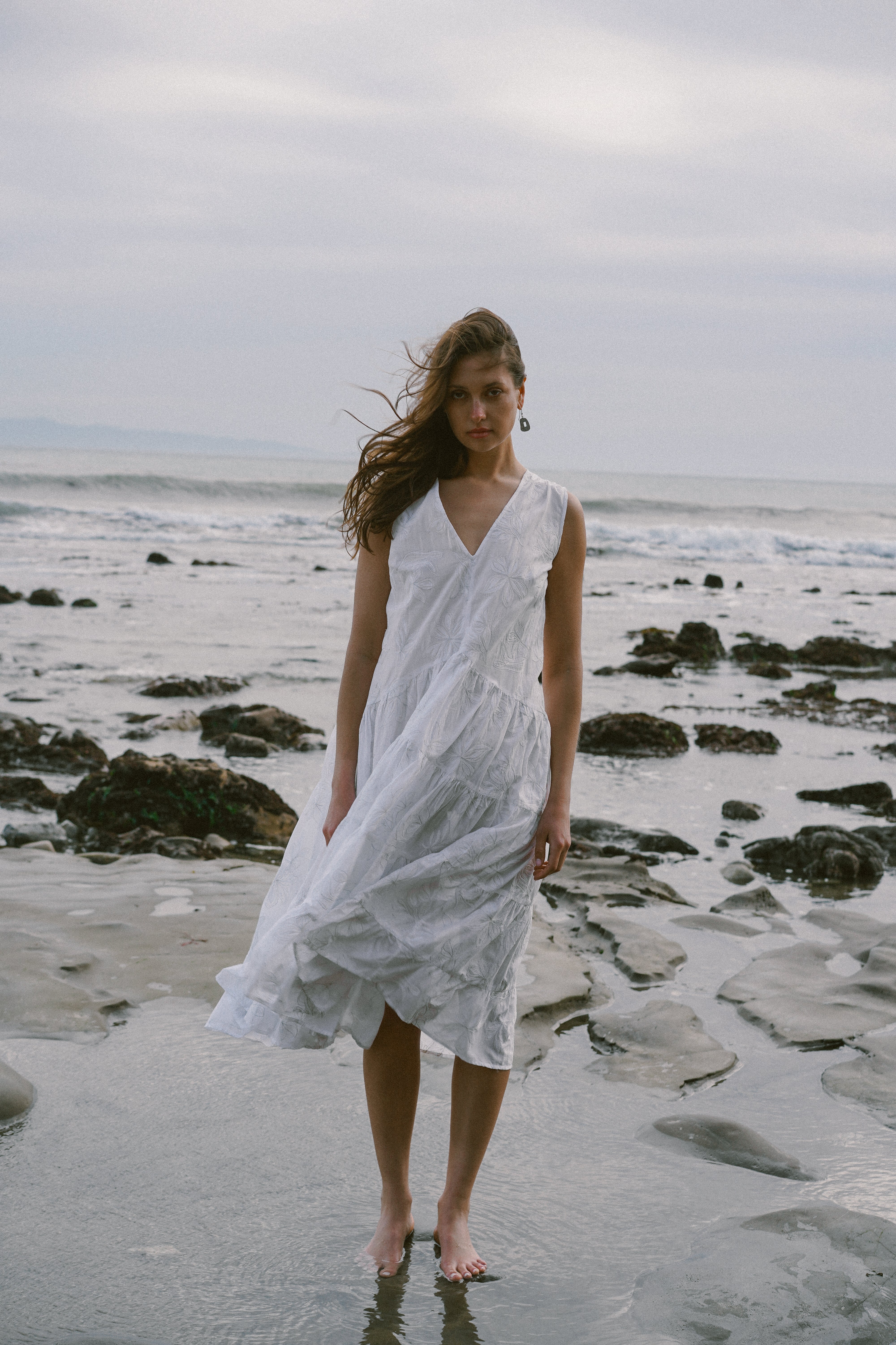 Wallis Embroidered Dress in White Silver