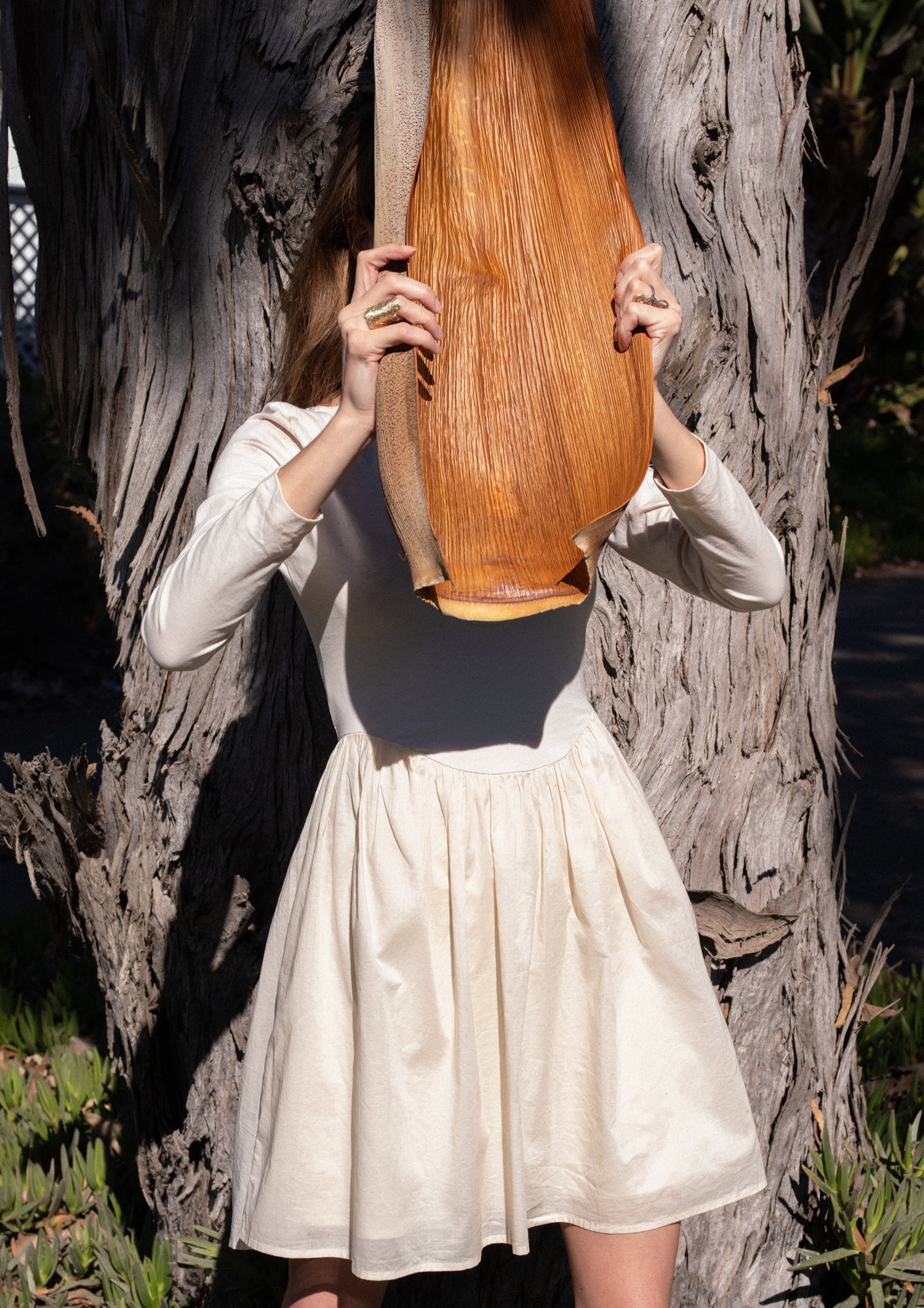 Ilara Dress in Opaline
